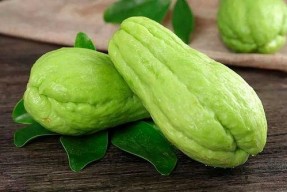 临沂吃生瓜网红女的,挑战极限美食新风尚